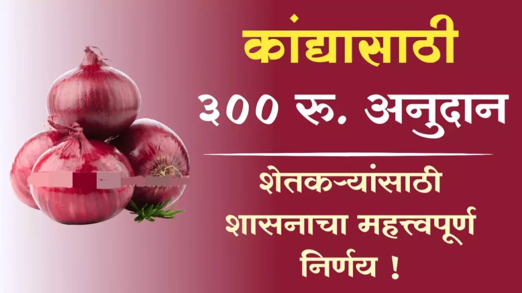 कांदा अनुदान