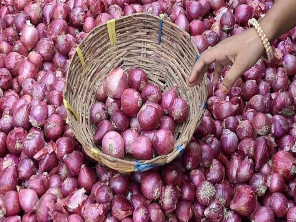 असे करा कांदा साठवणुकीचे नियोजन